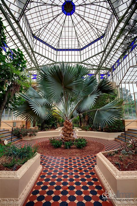 palm house interior adelaide botanic gardens  sh flickr