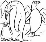 Antarctica Coloring Pages Colour sketch template