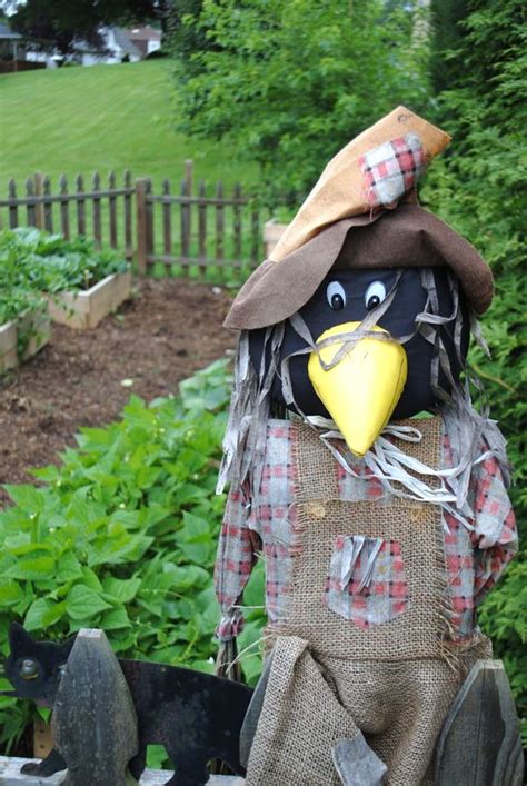 Crows And Scarecrows Aol Image Search Results