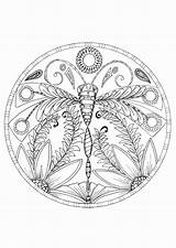 Coloring Dragonfly Pages Adults Getcolorings Printable Just Click Print sketch template