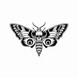 Moth Monochrome Clip Emblems sketch template