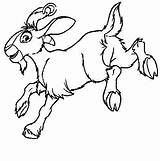 Colorat Oi Animale P42 Desene Planse Mouton Primiiani Miel Copii Coloriages sketch template