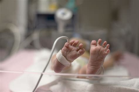 blog premature babies