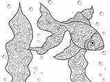 Colorare Poisson Volwassenen Goudvis Rosso Pesce Rybka Malowanki Vecteur Adulti Vettore Adultes Vector Coloring Dorosłych Złota Rysunek Goldfish Zentangle Obraz sketch template