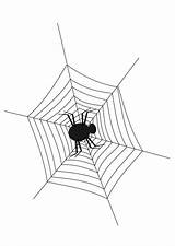 Spinnennetz Spinne Malvorlage Spinnenweb Schulbilder Ausmalbild Kleurplaat sketch template