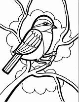 Coloring Bird Drawing Cute Sparrow Pages Chickadee Little Birds Kids Line Singing Color Printable Capped Snake Draw Drawings Book Clipart sketch template