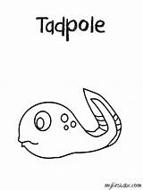 Tadpole Designlooter Popular sketch template
