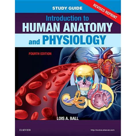 study guide  introduction  human anatomy  physiology revised