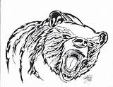 Bear Tribal Tattoo Drawing Drawings Growling Designs Tattoos Deviantart Choose Board Visit Logo Getdrawings sketch template