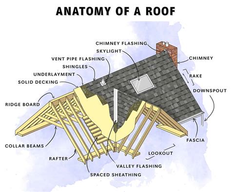 identifying  parts   roof  understanding  functions bankhomecom