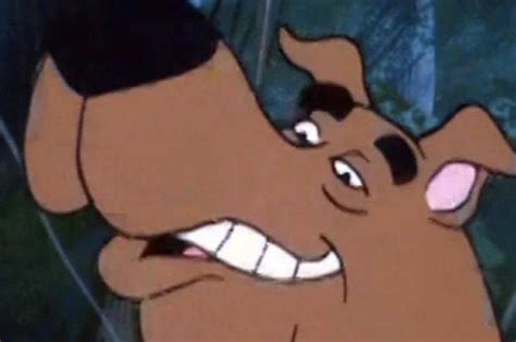 16 Scooby Doo Faces Everyone Will Recognize Scooby Doo