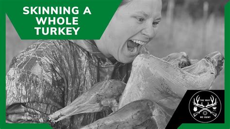 clean   turkey    hunt youtube