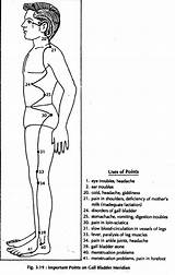 Points Gallbladder Acupressure Meridian Appendix Gall Bladder Healing Selfhealingonline Nagendra sketch template