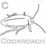 Cockroach Coloring Pages Printable Getdrawings Color Kids Getcolorings sketch template