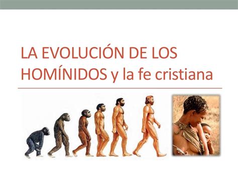 la evolucion de los hominidos