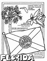 Florida Pages Coloring State Crayola Flag Color States Flower Print Colorado Symbols Sheets 4th Printable Grade Printables Facts History America sketch template