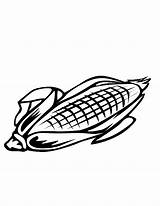 Corn Coloring Clip Sheet Library Clipart sketch template