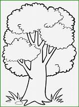 Baum Malvorlage Ausdrucken Stammbaum Bäume Coloring4free Kostenlos Kinderbilder Malvorlagen Angenehm Beeindruckend Zeichnung Februar überarbeitet Malvorlagentv Basel Onlinemarketing sketch template