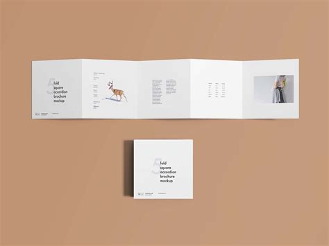 fold square accordion brochure mockup psd