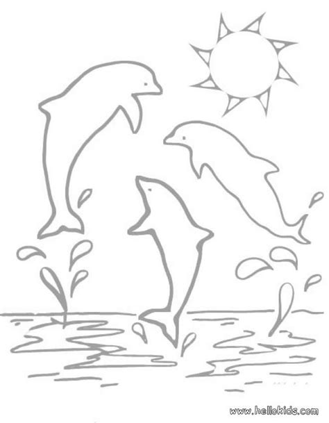 cute baby dolphins colouring pages coloring home