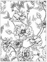 Malvorlagen Detailed Ausmalen Sheets Blumen Ausmalbilder Vorlagen Mandala Lernen Zeichen Jurnalistikonline sketch template