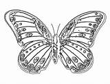 Mariposas Pobarvanke Metulji Monarch Buttr Motyl Mariposa Kolorowanki Pintarcolorear Pobrania Bestcoloringpagesforkids Wings Davemelillo sketch template