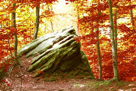 autumn forest rock  stock photo public domain pictures