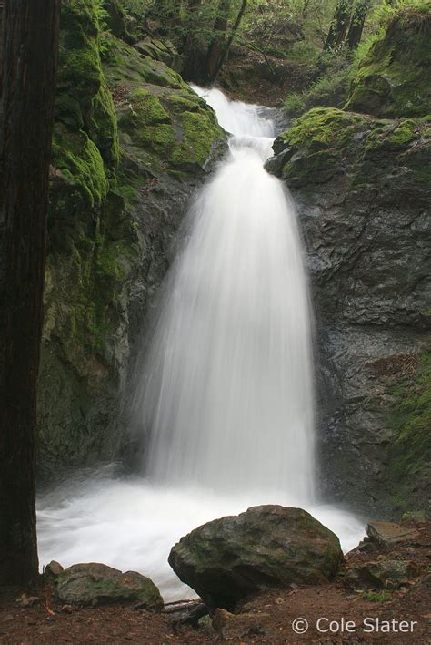 coles trail tales marin waterfalls hike cascade falls  mill