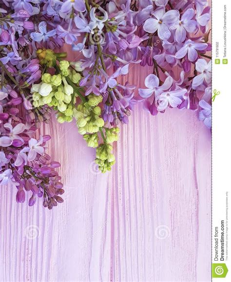 lilac flowers composition color vintage pink wooden spring beautiful stock photo image