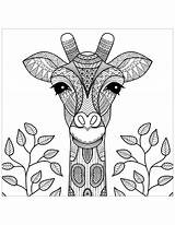 Coloring Kids Pages Giraffes Children Color Justcolor sketch template