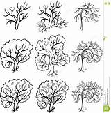 Illustrazione Melo Alberi Coloritura Cespuglio sketch template