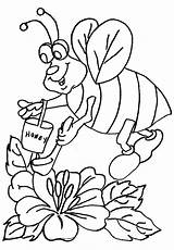 Coloring Pages Bee Bees Flower Flowers Honey Kids sketch template