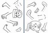 Body Coloring Pages Parts Human Cut Preschoolers Library Clipart sketch template