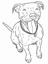 Pitbull Coloring Nose Pages Pit Drawing Dog Red Bull Line Printable Puppy Sketch Bulls Blue Clipart Drawings Drawn American Bully sketch template