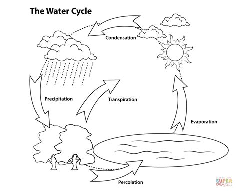 water cycle  kids coloring page coloring home