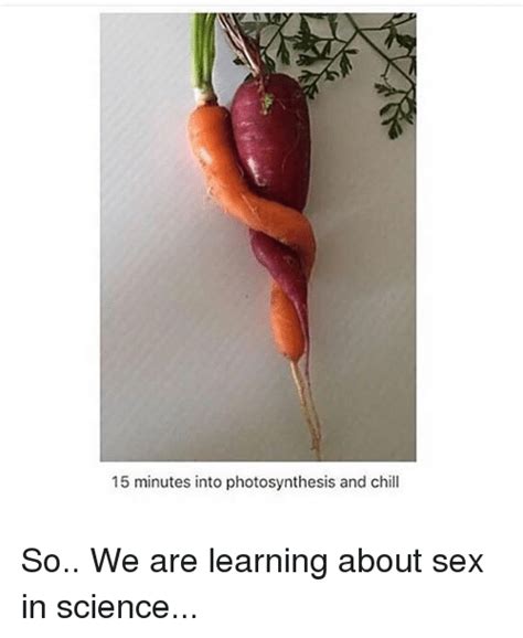 15 minutes into photosynthesis and chill so we are learning about sex