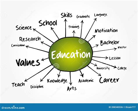 education mind map flowchart stock illustration illustration