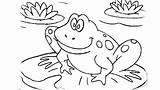Coloring Pages Frog Printable Dressed Leapfrog Getting Getcolorings Life Amphibian Coqui Cycle Animals Getdrawings Leap Colorings Choose Board Gets sketch template