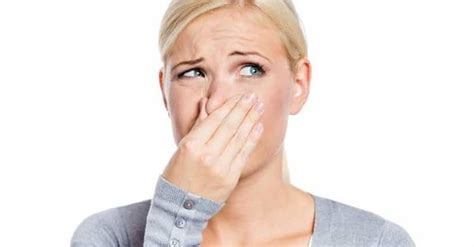 Most Offensive Odors And Worst Smells Ever Ranked
