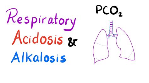 respiratory acidosis and alkalosis lung physiology pulmonary