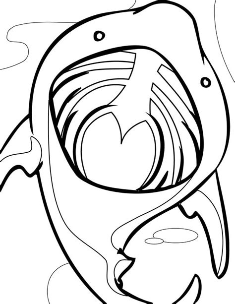 open mouth basking shark coloring page kids play color