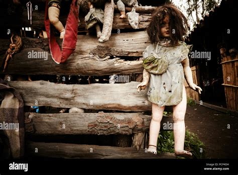 dolls  la isla de las munecas  island   dolls xochimilco mexico stock photo alamy