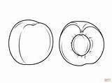 Apricot Coloring Half Pages Whole Sliced Drawing sketch template