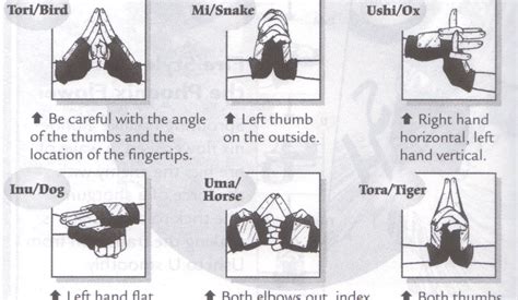 naruto hand seals