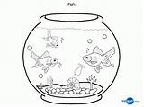 Fish Coloring Bowl Pages Tank Clipart Betta Template Aquarium Pet Printable Kids Drawing Sheet Print Outline Sketch Fishes Color Goldfish sketch template