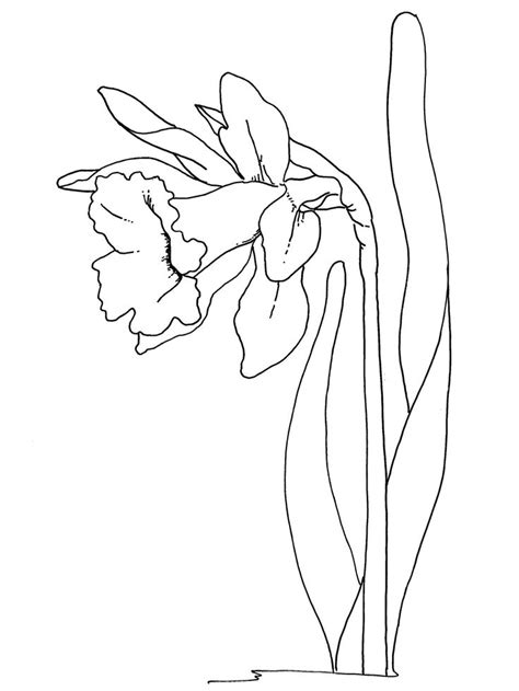 easter flowers coloring pages coloring pages easter flowers dinner