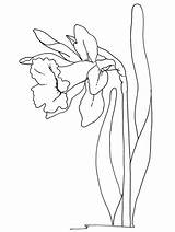 Flowers Easter Coloring Pages sketch template