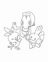 Pokemon Coloring Pages Mudkip Advanced Color Torchic Printable Colouring Sheets Groups Torch Print Mud Truck Getcolorings Silhouette Getdrawings Phoenix Olympic sketch template