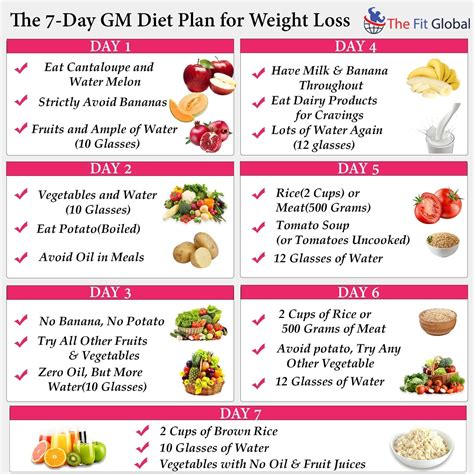 beginners guide   day gm diet day meal plans tips gm diet