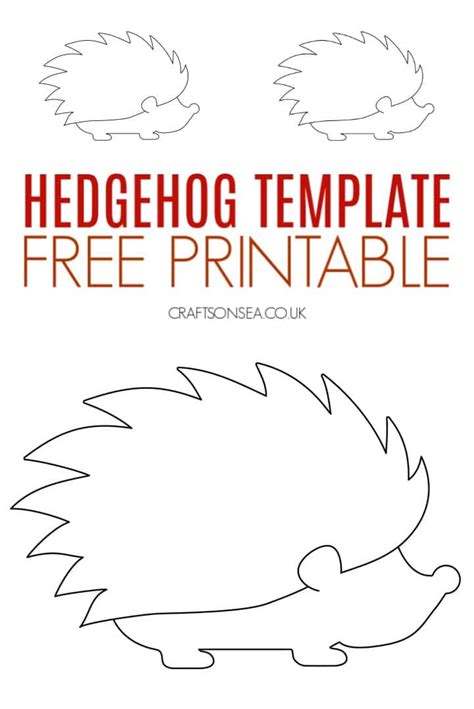 hedgehog template  printable  crafts  sea